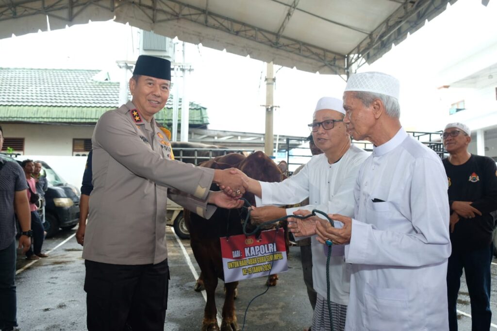 Kapolri dan Kapolda Kalsel Sumbang Sapi Limousine untuk Peringatan Haul Abah Guru Sekumpul