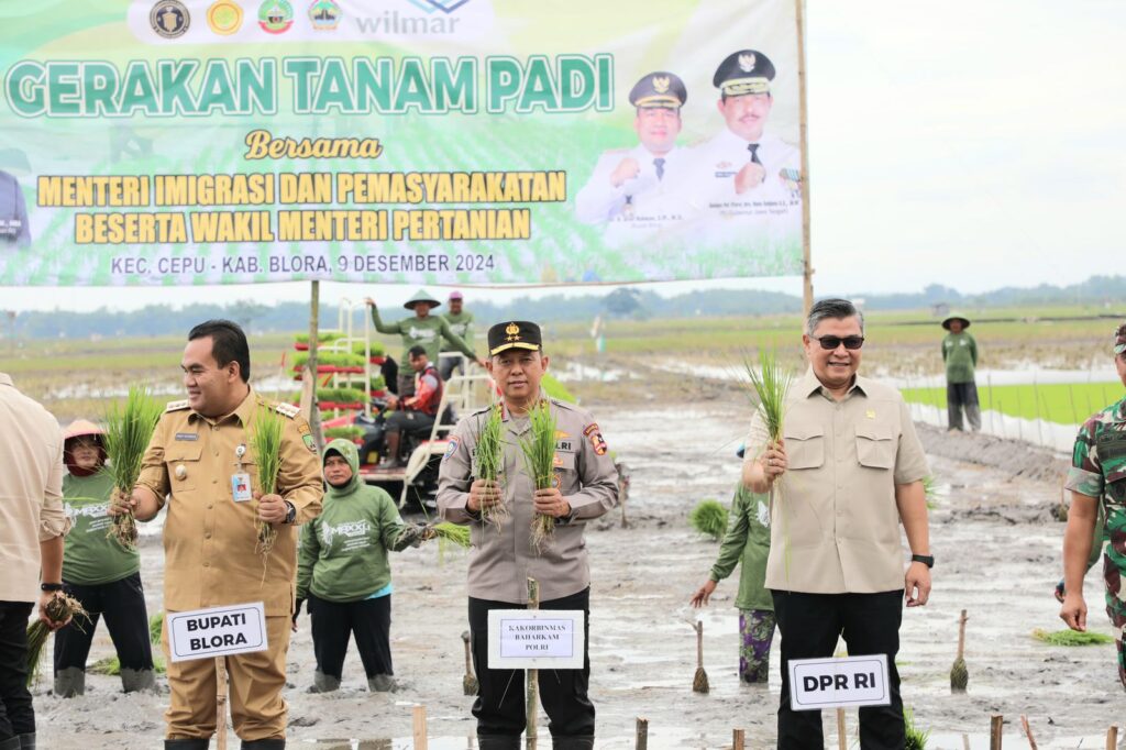 IMG-20241209-WA0375