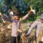 IMG-20260805-WA0069