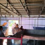 IMG-20260811-WA0085