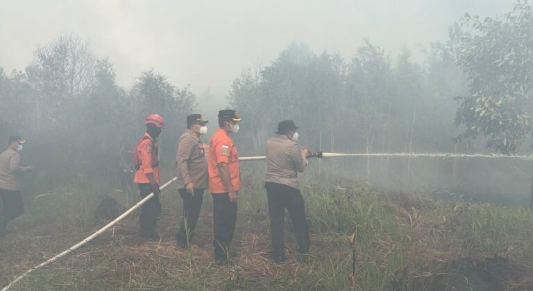 IMG-20260823-WA0027