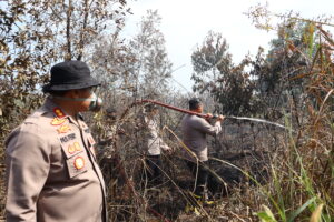 IMG_4994